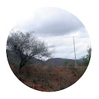 Caatinga.jpg