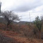 Caatinga.jpg