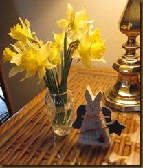 IMG_0906 IMG_0906