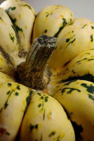 [SquashPotPies0075.jpg]