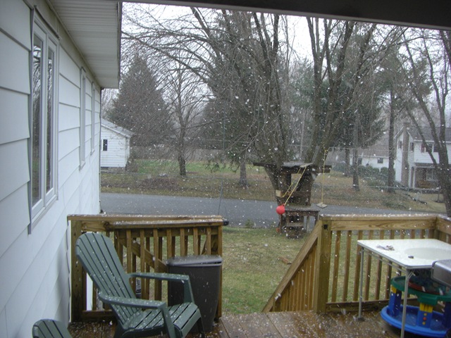 [snowy morn 008[2].jpg]