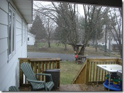 snowy morn 008