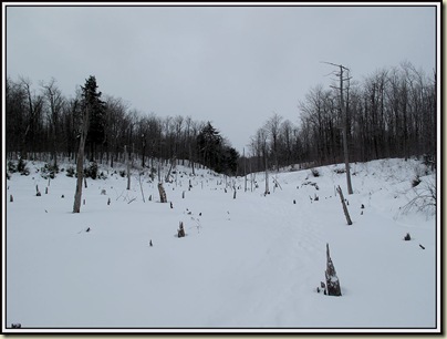 A view from Trail 3 - The Huron Trail - in Gatineau Park