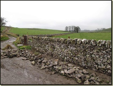 A newly renovated dry stone wall