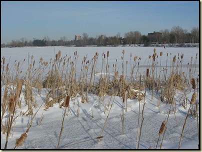 The Ottawa River near Westboro - 24/1/11