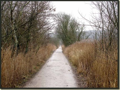 The path to Leighton Hall