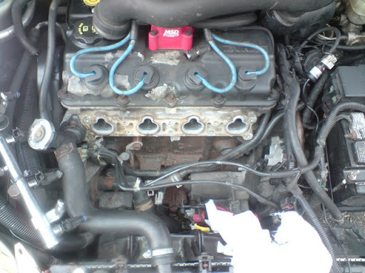 http://lh5.ggpht.com/_KHfF8GBEUW8/TLfXiC95XgI/AAAAAAAAArs/DC9GwTAW-kA/DSC01508.JPG