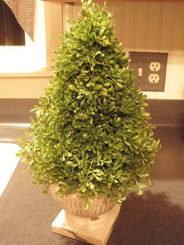 [boxwood tutorial 020[2].jpg]