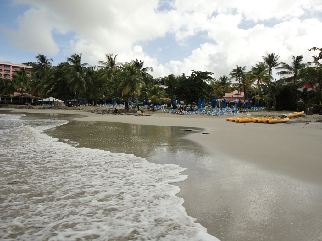 [DSC01684[4].jpg]