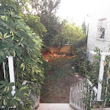 דירת גן להשכרה בארנונה - ירושלים