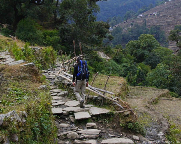 [_MG_5355[16].jpg]