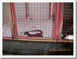 DSCN0282