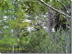 Grassy Waters 12 Grassy Waters 12