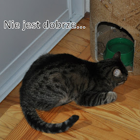 Mi�tkowa Pokusa