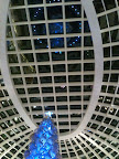 IMG_0495.JPG