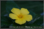 DSC01557 (Small).JPG