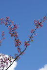 DSC02961.JPG