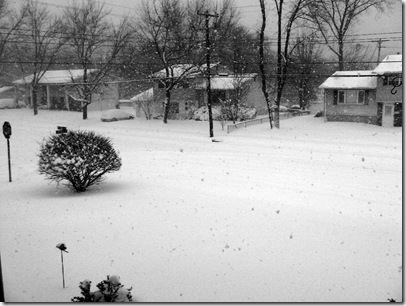snow