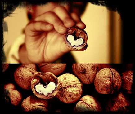 nueces