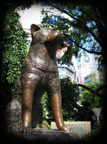 [154775-hachiko-statue-shibuya-tokyo---famous-meeting-point-tokyo-japan[4].jpg]