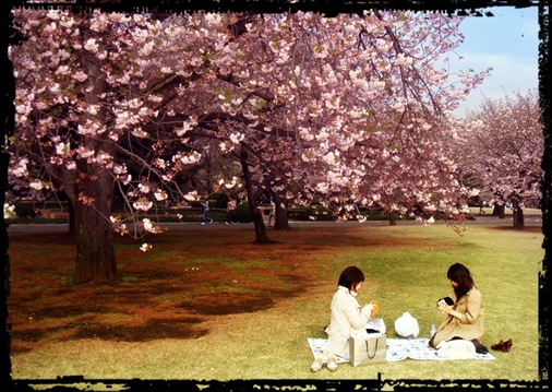 Hanami