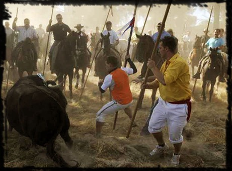 20090923elpepusoc_4 Toro de la Vega
