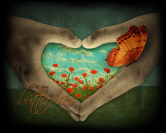Butterflies_by_draginchic