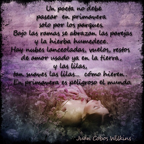 [e69beafcd33e2edc7f33ad5a2ed51a3e copia[4].jpg]