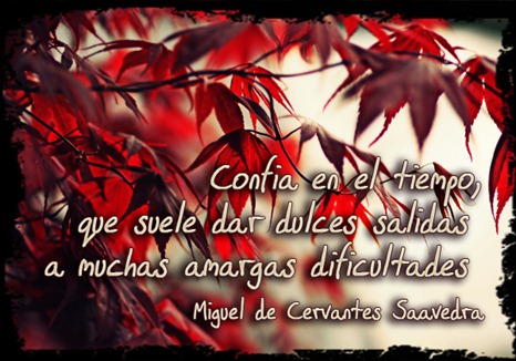 df611748c07ddf6b5aa52ee9279a2f1e copia