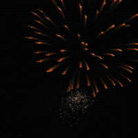[fireworks2.gif]