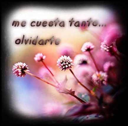 me cuesta tanto olvidarte