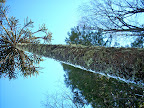 DSCN4905.JPG
