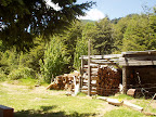 P1010014.JPG