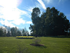 DSCN7943.JPG