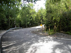 DSCN9575.JPG