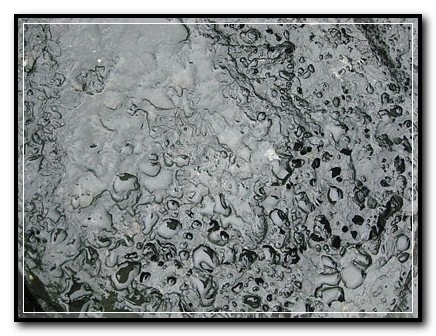 [dia-170310-6[5].jpg]