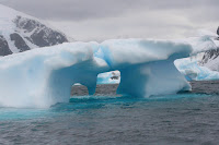 2007 Antarctic Bergy Bits (33).jpg