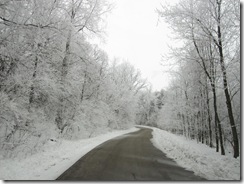 frost 1