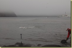 Paul swimming in the Antarctic