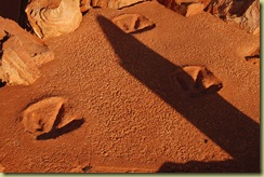 Dinosaur Footprint Broome