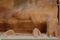 Camel in Wall