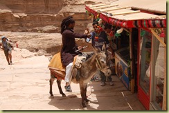 Bedouin on Donkey