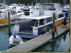 Boat Stern