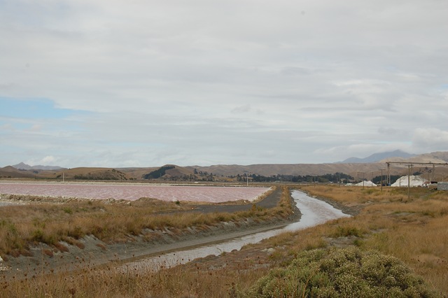 [Salt Pan[2].jpg]