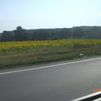 CIMG2767.JPG