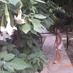 CIMG3612.jpg