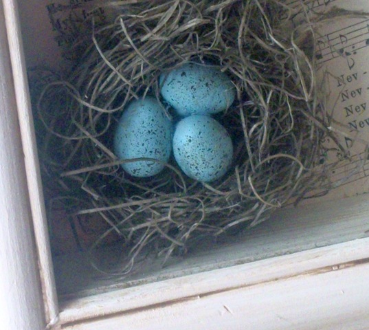 [eggs[6].jpg]