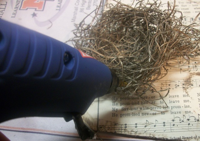 [nest[6].jpg]