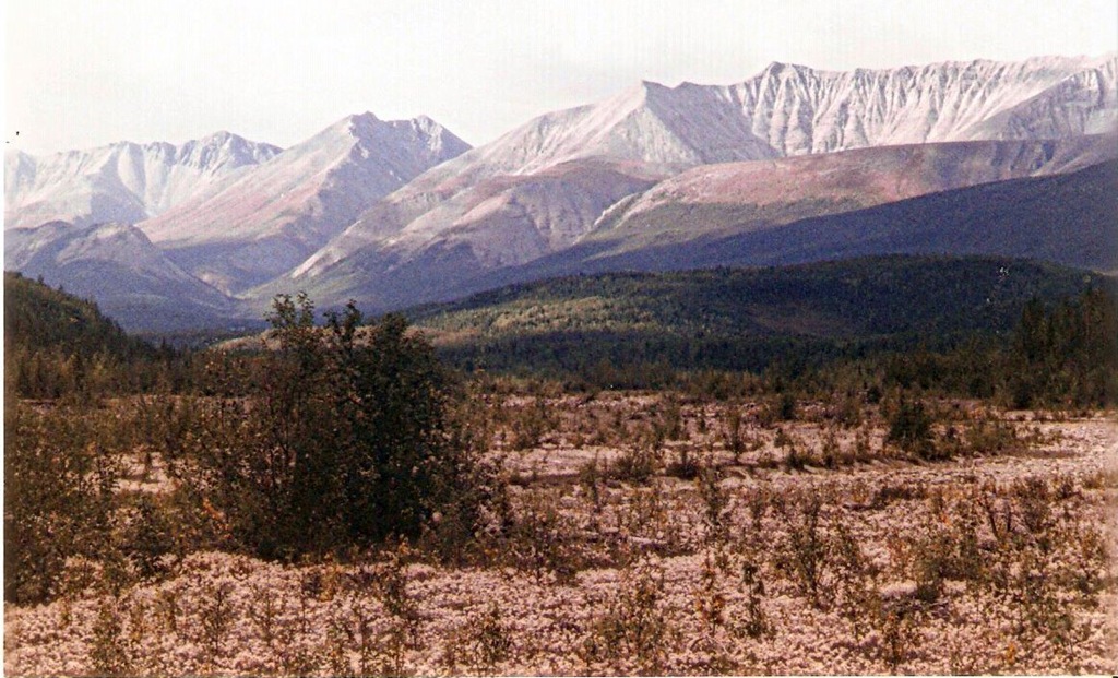 [image0-155.jpg]