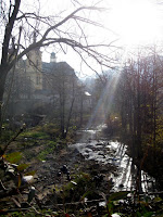IMG_7193.JPG Photo